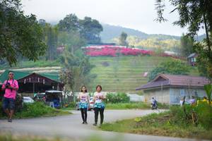 BIB: 
                            <button type="button" onclick="openModal(19217891)" class="btn btn-primary btn-sm float-right btn-popup" data-toggle="modal" data-target=".modal-high-quality">
                        <i class="fas fa-shopping-cart"></i> Add to Cart
                    </button>
                                            <button type="button" onclick="isThisMe(19217891, true)" class="btn btn-success btn-sm float-right btn-popup btn-isme hidden" data-toggle="tooltip" data-placement="bottom" title="นี่คือรูปของคุณใช่ไหม คลิกที่นี่เพื่อเอาเข้าอัลบั้ม">
                        <i class="fas fa-plus"></i> Add to album
                    </button>
                    <button type="button" onclick="isThisMe(19217891, false)" class="btn btn-warning btn-sm float-right btn-popup btn-isnotme hidden">
                        <i class="fas fa-ban"></i> Remove from album
                    </button>